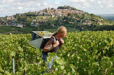 桑塞爾產區（Sancerre）