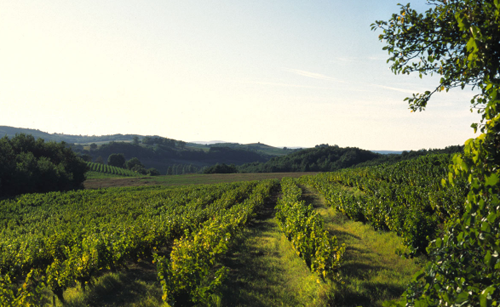 加亞克產區（Gaillac）
