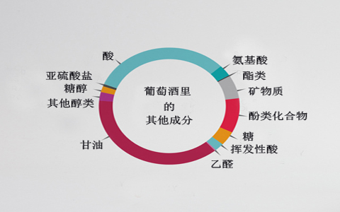 葡萄酒里的成分有哪些？