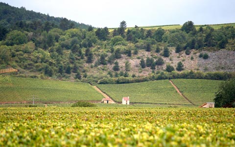 1、法國(guó)，勃艮第