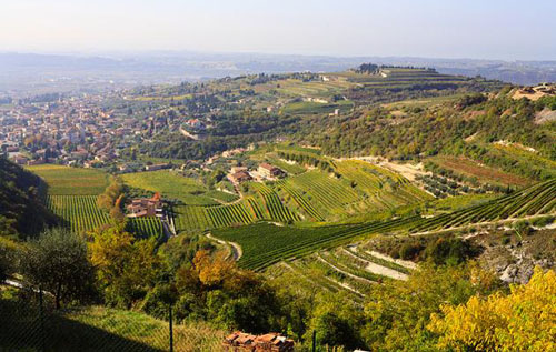 瓦坡里切拉產區（Valpolicella）
