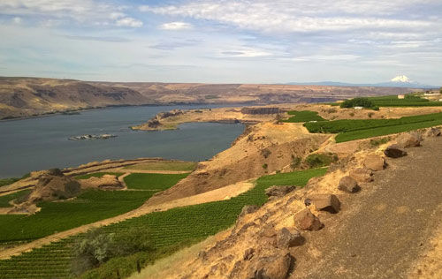 哥倫比亞河谷產(chǎn)區(qū)（Columbia Gorge）
