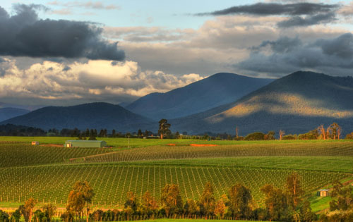 雅拉谷產區（Yarra Valley）
