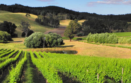 阿德萊德山區（Adelaide Hills）產區