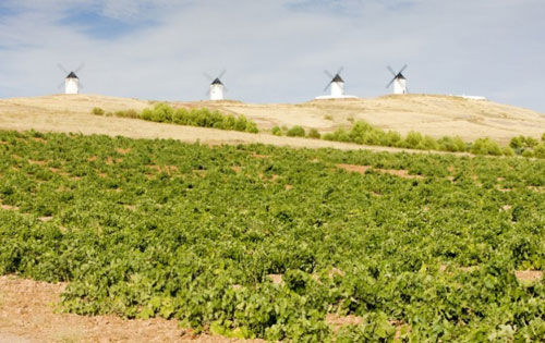 拉曼恰產區（La Mancha）