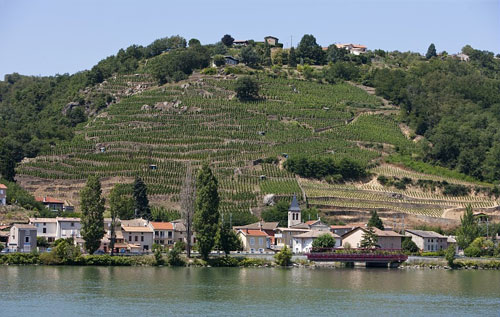 格里葉堡產區（Chateau Grillet）