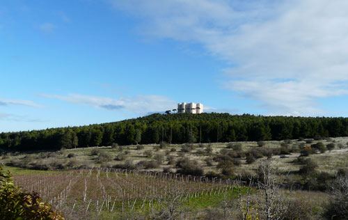 蒙特堡產(chǎn)區(qū)（Castel del Monte）