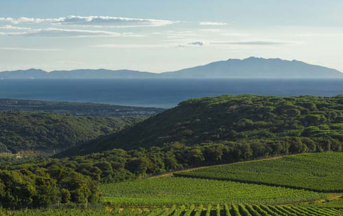 保格利產(chǎn)區(qū)（Bolgheri）