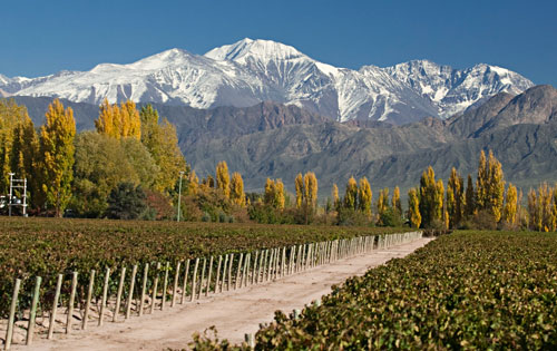 門多薩（Mendoza）葡萄酒產區
