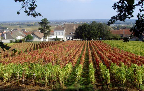 拉夢(mèng)內(nèi)酒莊（Domaine Ramonet）