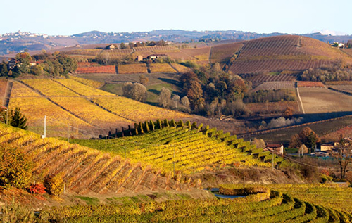 皮埃蒙特大區（Piemonte）