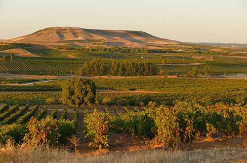 杜埃羅河岸產區（Ribera del Duero）